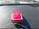Miniaturka zdjęcia 11