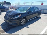 Hyundai Sonata Sport 5NPE34AF5HH554253 снимка
