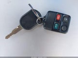Miniaturka zdjęcia 11