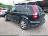 Honda Cr-V Ex-L JHLRE48737C063798 fotografie