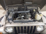 Jeep Wrangler Se 1J4FA29P12P769582 fotografie