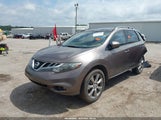 Nissan Murano Le JN8AZ1MU8DW203206 снимка