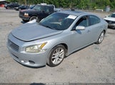 Nissan Maxima 3.5 Sv 1N4AA5AP0BC841902 снимка