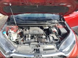 Miniaturka zdjęcia 10