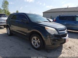 Chevrolet Equinox Ls 2GNALBEK4D6268006 снимка
