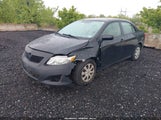 Toyota Corolla Le JTDBL40EX9J017964 снимка