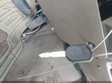 Miniaturka zdjęcia 11