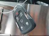 Miniaturka zdjęcia 11