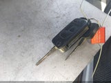Miniaturka zdjęcia 11