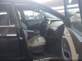 Miniaturka zdjęcia 5