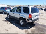 Ford Escape Xlt 1FMYU03135KD84424 снимка