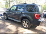 Ford Escape Xlt 1FMCU03719KC33859 снимка