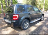 Ford Escape Xlt 1FMCU03719KC33859 снимка