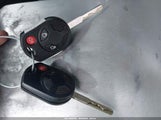 Miniaturka zdjęcia 11