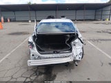 Miniaturka zdjęcia 6