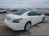 Nissan Maxima 3.5 Sv 1N4AA5AP3DC843291 снимка