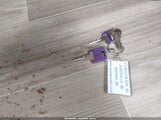 Miniaturka zdjęcia 11