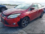 Miniaturka zdjęcia 6