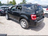 Ford Escape Xlt 1FMCU0D79CKB50959 снимка