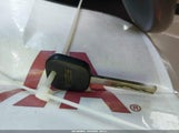 Miniaturka zdjęcia 11