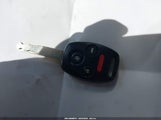Miniaturka zdjęcia 11