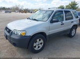Ford Escape Xlt/Xlt Sport 1FMYU93186KA37659 fotografie