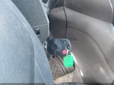 Miniaturka zdjęcia 11