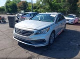 Hyundai Sonata Sport 5NPE34AF2FH240993 photo