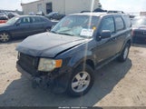 Ford Escape Xlt 1FMCU03Z68KC63150 снимка