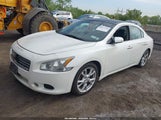 Nissan Maxima 3.5 Sv 1N4AA5AP1EC911136 fotografie