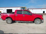 Ford F-150 Fx4/Harley-Davidson/King Ranch/Lariat/Platinum/Xl/Xlt 1FTFW1EV8AFC23680 снимка