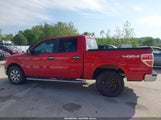 Ford F-150 Fx4/Harley-Davidson/King Ranch/Lariat/Platinum/Xl/Xlt 1FTFW1EV8AFC23680 снимка