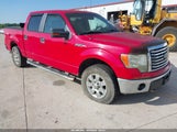 Ford F-150 Fx4/Harley-Davidson/King Ranch/Lariat/Platinum/Xl/Xlt 1FTFW1EV8AFC23680 photo