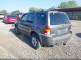 Ford Escape Xlt 1FMYU03195DA03082 снимка