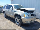 Cadillac Escalade Hybrid Standard 1GYS3EEJ6DR176805 снимка