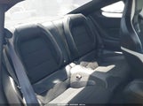 Ford Mustang Shelby Gt500 Fastback 1FA6P8SJ5M5502897 photo