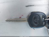 Miniaturka zdjęcia 11