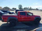 Toyota Tacoma Base V6 3TMLU42N89M028821 снимка