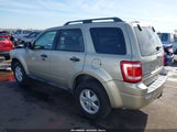 Ford Escape Xlt 1FMCU0DG9AKC30839 снимка