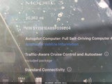Tesla Model 3 Long Range Rear-Wheel Drive/Standard Rear-Wheel Drive 5YJ3E1EA8SF039204 снимка
