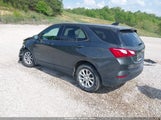 Chevrolet Equinox Ls 3GNAXSEV4KS666474 photo