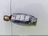 Miniaturka zdjęcia 11