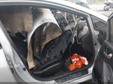 Kia Forte Lx 3KPFL4A75HE014354 снимка