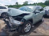 Toyota Rav4 Xle JTMW1RFV5KD023543 снимка