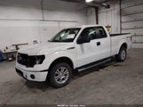 Ford F-150 Stx 1FTFX1CF1DFC63550 снимка