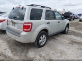 Ford Escape Xlt 1FMCU03Z98KD86490 снимка