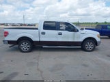 Ford F-150 Fx2 Sport/Harley-Davidson/King Ranch/Lariat/Platinum/Xl/Xlt 1FTFW1CVXAFB00207 fotografie
