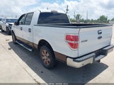Ford F-150 Fx2 Sport/Harley-Davidson/King Ranch/Lariat/Platinum/Xl/Xlt 1FTFW1CVXAFB00207 fotografie