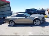 Ford Mustang Gt Deluxe/Gt Premium 1ZVFT82H755247977 photo