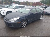 Lexus Es 330 JTHBA30G855078197 fotografie